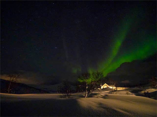 Skogsfjordvatnet-Aurora-2020-Feb-Tromso-NOR-001 copy