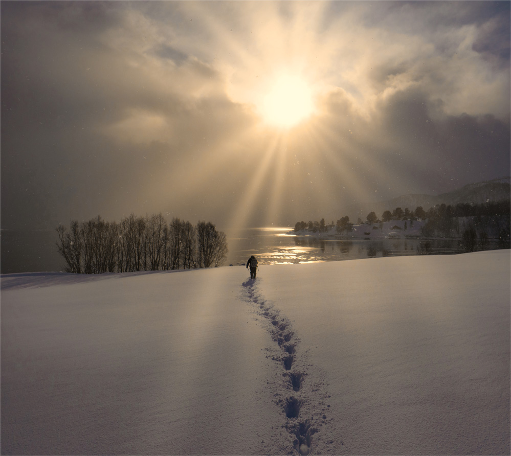 Stronglandseidet-Senja-2020-NOR-0311