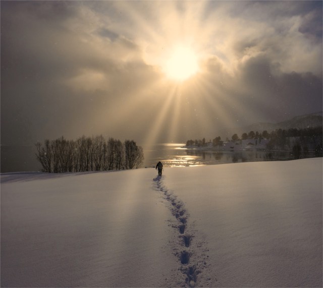 Stronglandseidet-Senja-2020-NOR-0311